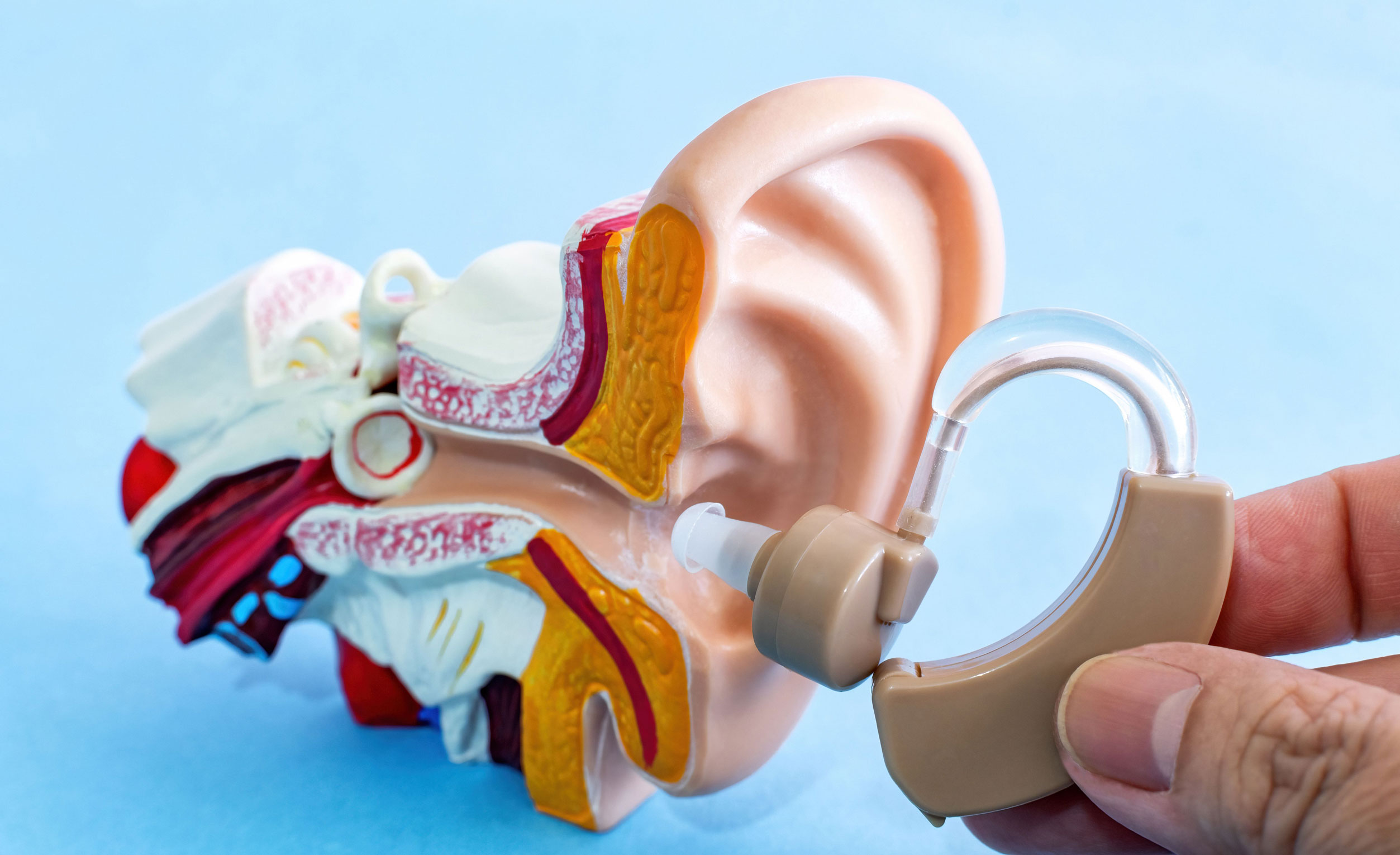 Economy Hearing Aids